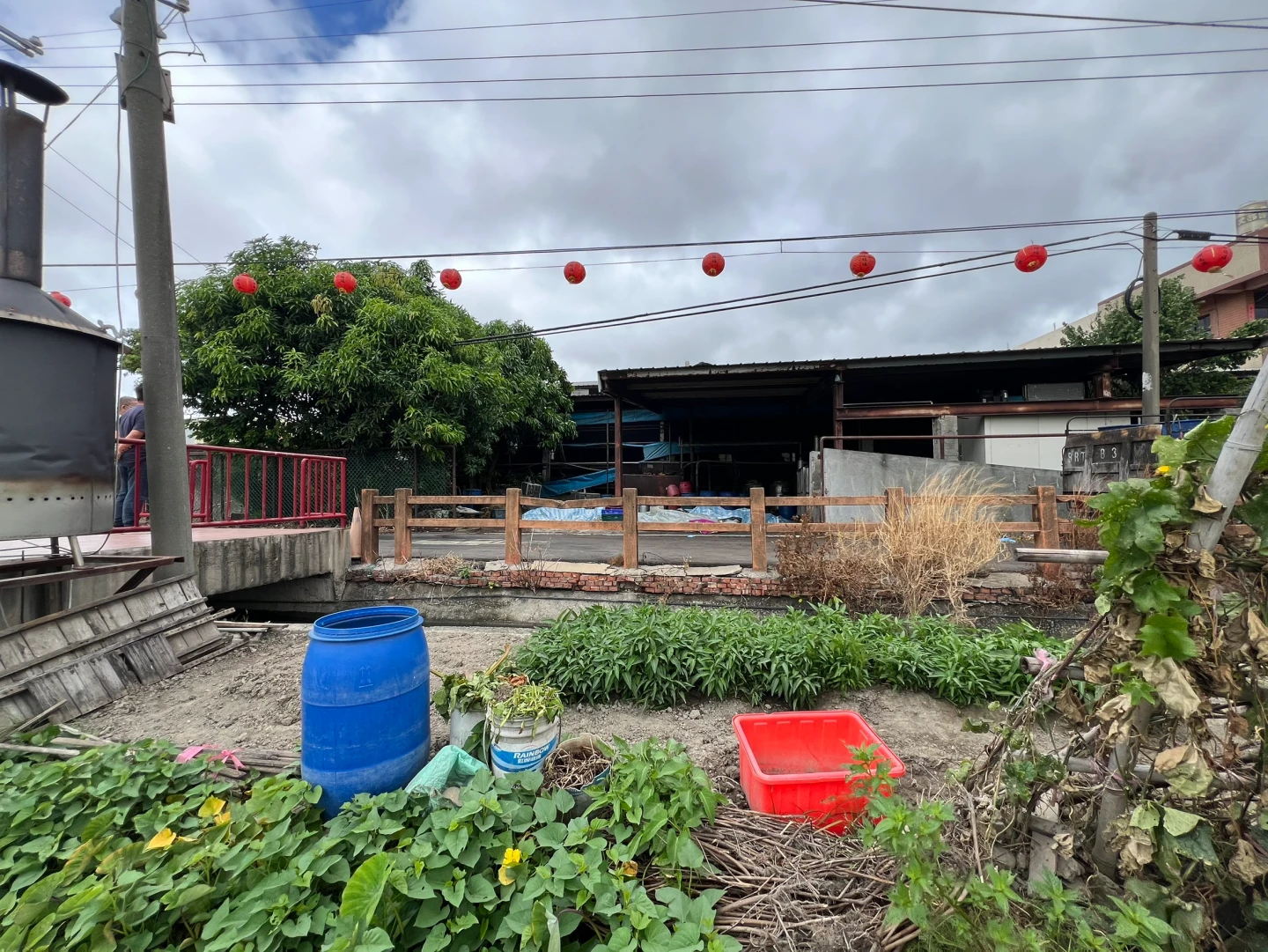 非洲豬瘟台中事發養豬場。民眾提供