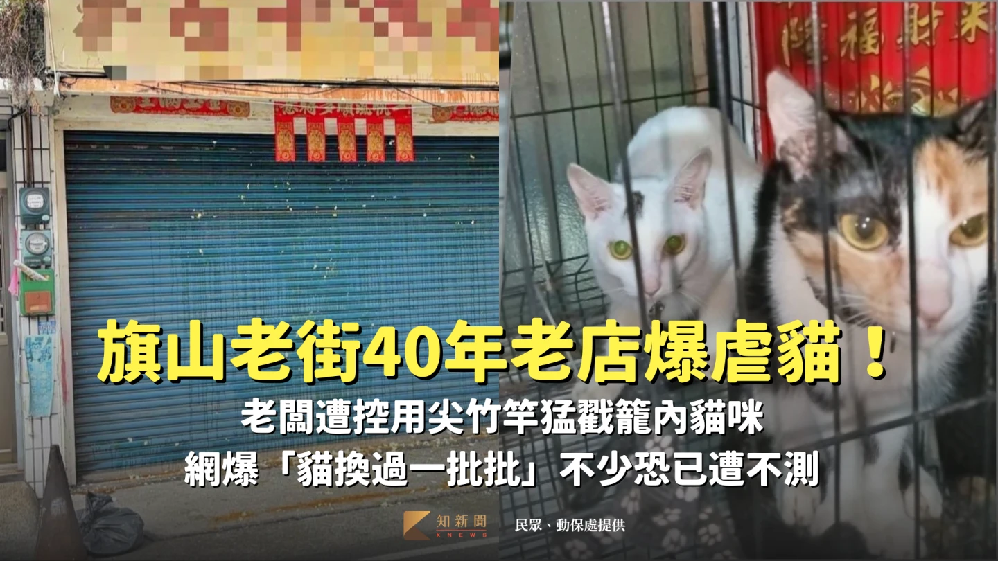 高雄旗山某碗粿店傳出虐貓,引發公憤。合成畫面。民眾、動保處提供