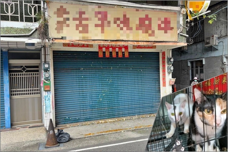 旗山老街40年碗粿店爆虐貓!尖竹竿猛戳淒厲慘叫 網爆店貓「換過一批批」怒蛋洗