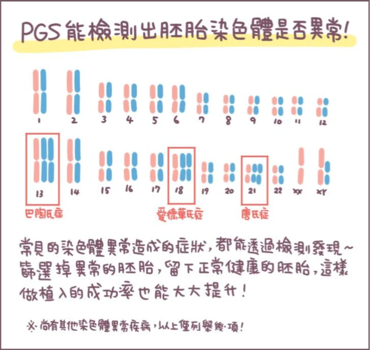 PGS能驗出胚胎染色體是否異常。茂盛醫院提供