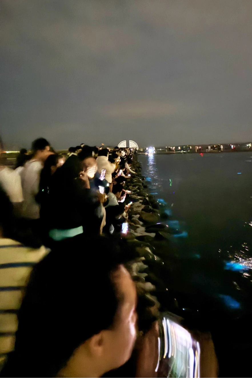 台南藍眼淚大爆發,鹽田沿岸站滿人潮。昌樺溫馨館顧晨義提供