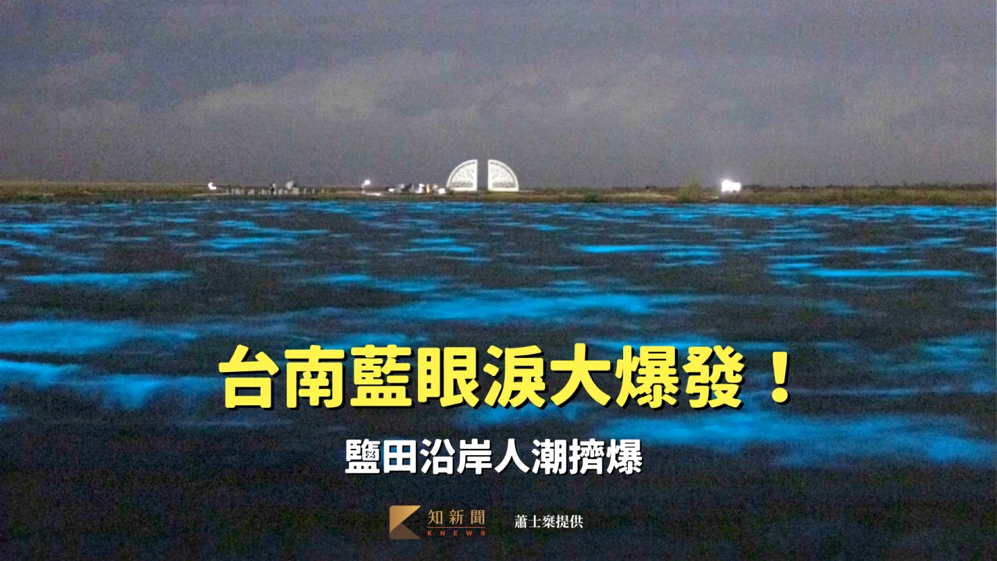 「生命之樹」在藍眼淚映襯下更顯夢幻。網友蕭士椉提供