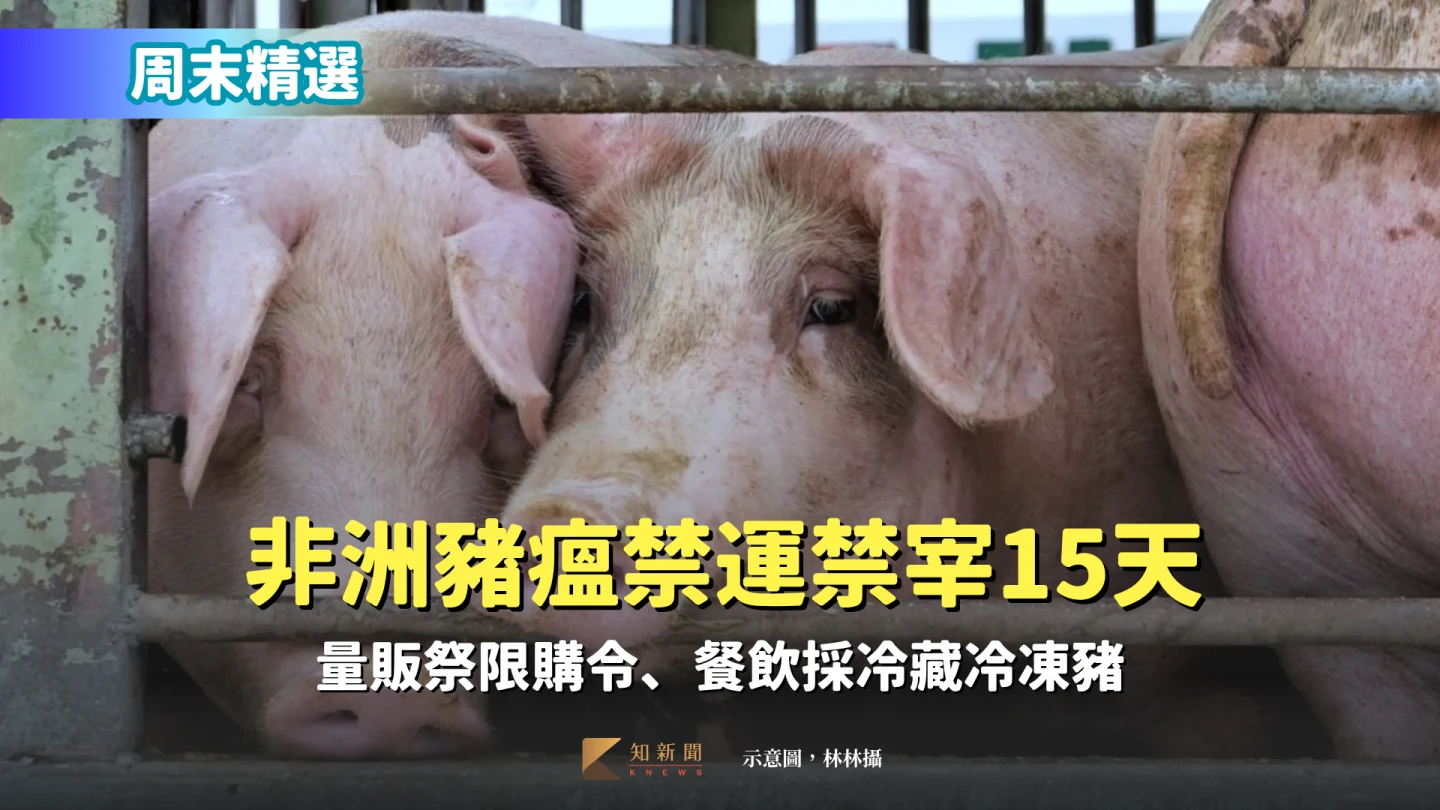 周末精選|非洲豬瘟禁運禁宰15天 量販祭限購令、餐飲採冷藏冷凍豬