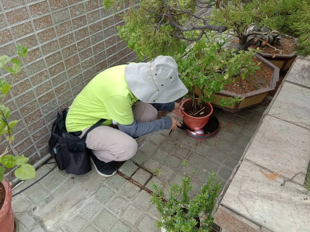 花器下使用的底盤易積水,民眾應定期巡倒清刷。高市衛生局提供