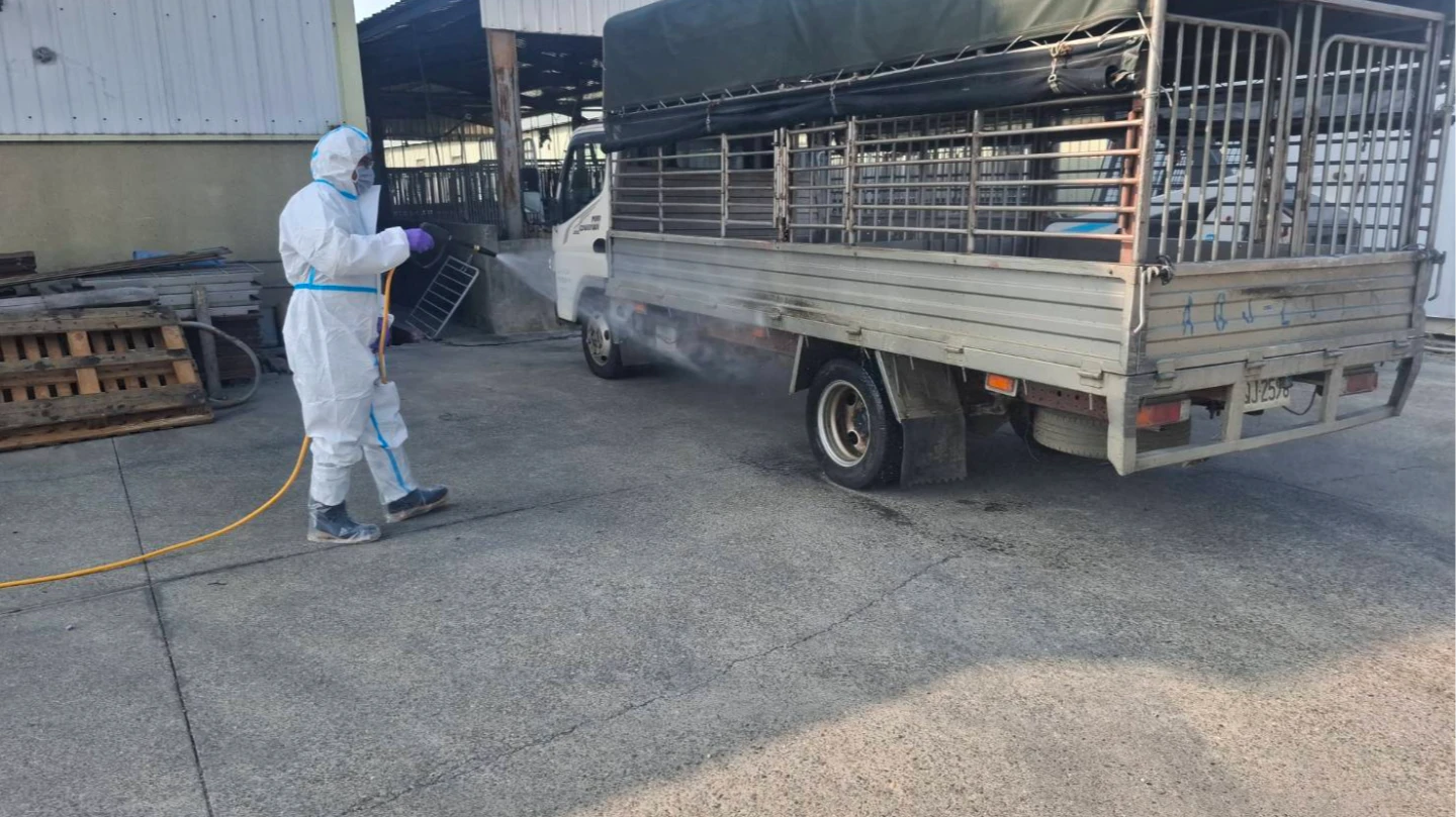 非洲豬瘟禁運上路!台南後壁區運豬車持續移動 黃偉哲說話了