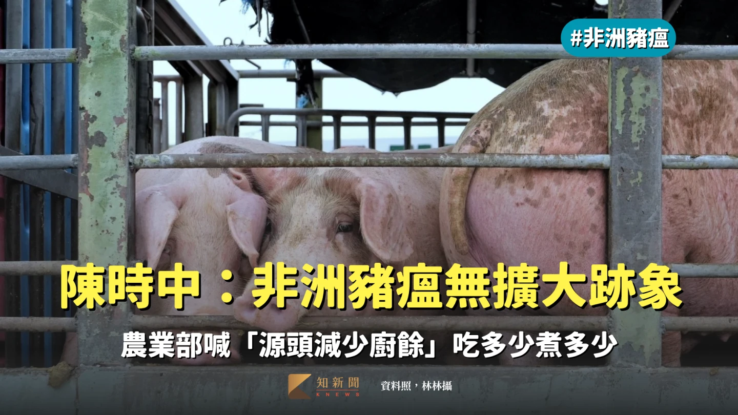 陳時中:非洲豬瘟無擴大跡象 農業部喊「源頭減少廚餘」吃多少煮多少