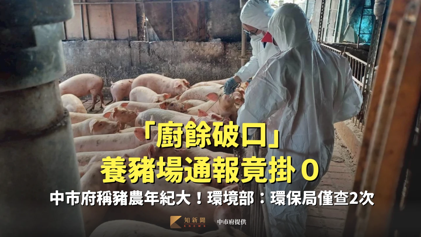 「廚餘破口」養豬場通報竟掛0 中市府稱豬農年紀大!環境部:環保局僅查2次