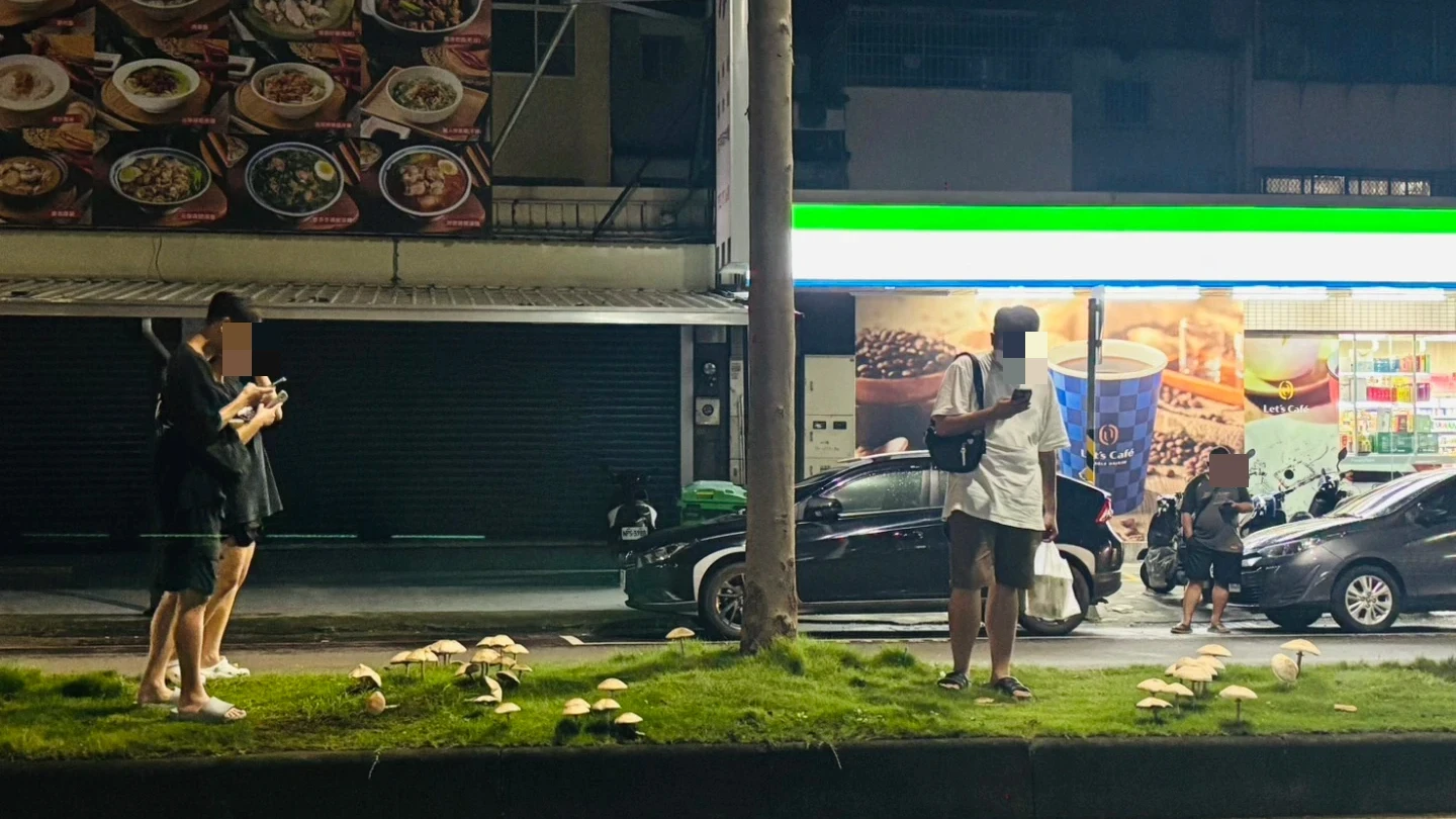 鳳山區鳳南路分隔島的巨大香菇吸引人潮「朝聖」。讀者提供
