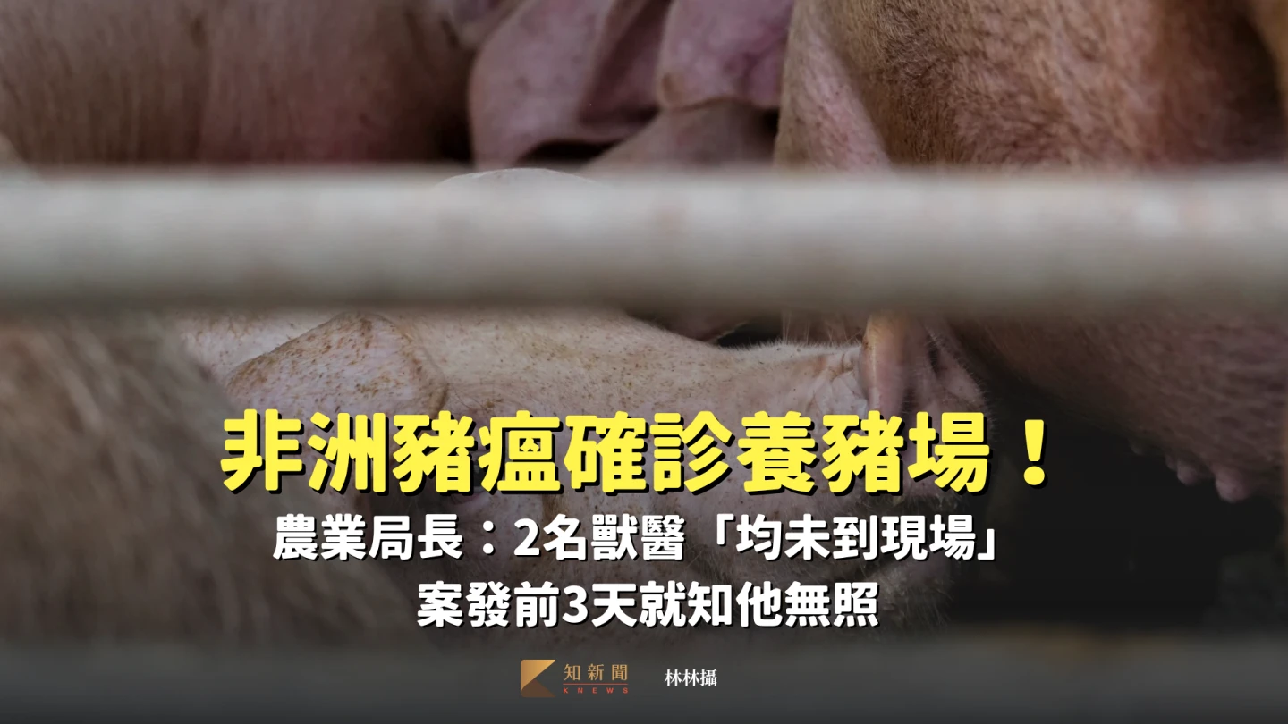非洲豬瘟入侵,台灣豬肉供應拉警報。林林攝