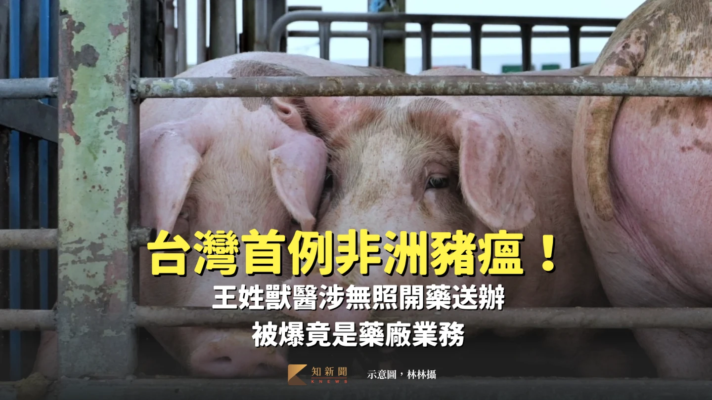 台灣首例非洲豬瘟!王姓獸醫涉無照開藥送辦 被爆竟是藥廠業務