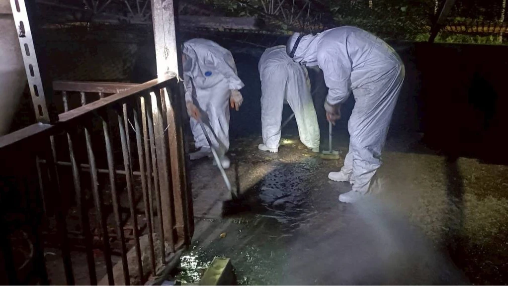 非洲豬瘟確診後!關鍵獸醫佐出境了 中市府要查這疑點