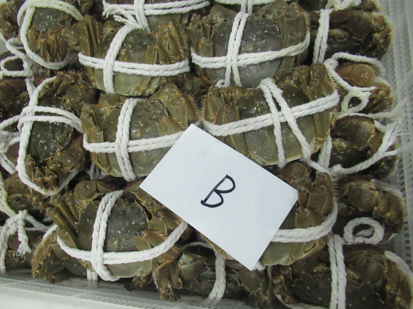 中國大陸輸入的中華絨螯蟹,檢出動物用藥磺胺嘧啶殘留。食藥署提供