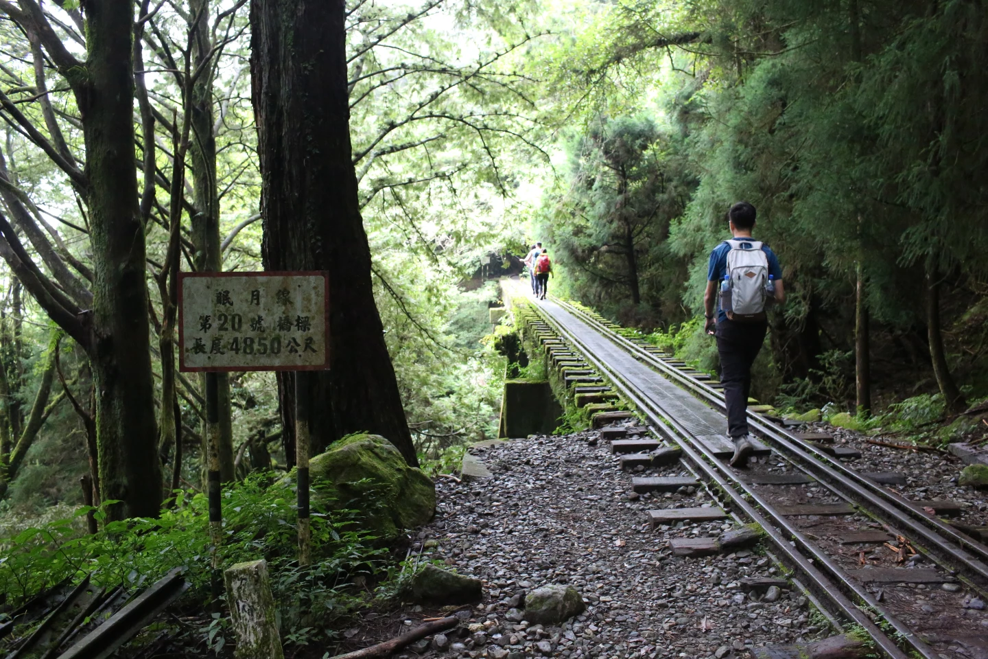 阿里山「眠月線」這段不能走鐵道!已18人挨罰 正確路線曝光