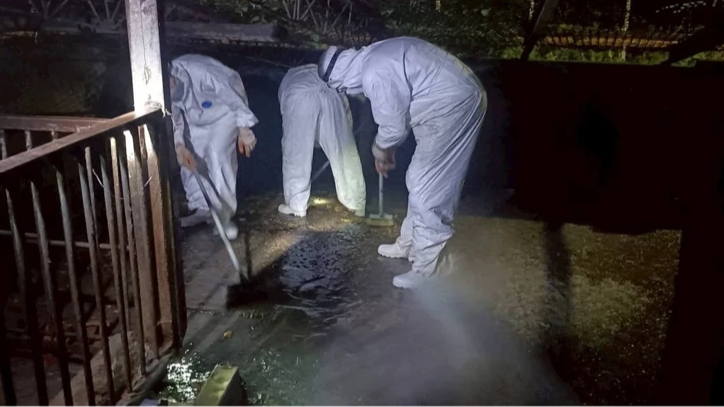 非洲豬瘟死豬數差了38頭！化製三聯單遭塗改　中檢赴環保局調資料