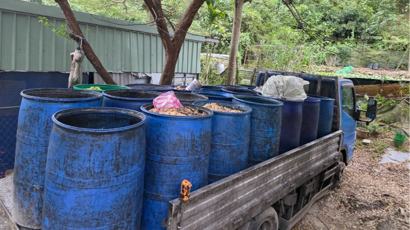 無視禁令!新北爆養豬場偷餵廚餘 「蒸煮槽內藏鐵證」市府封桶開罰