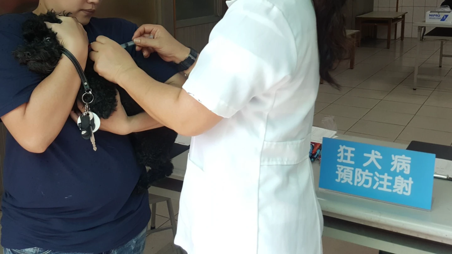 政府規定,飼養犬應施打狂犬病疫苗。取自臺南市動物防疫保護處官網