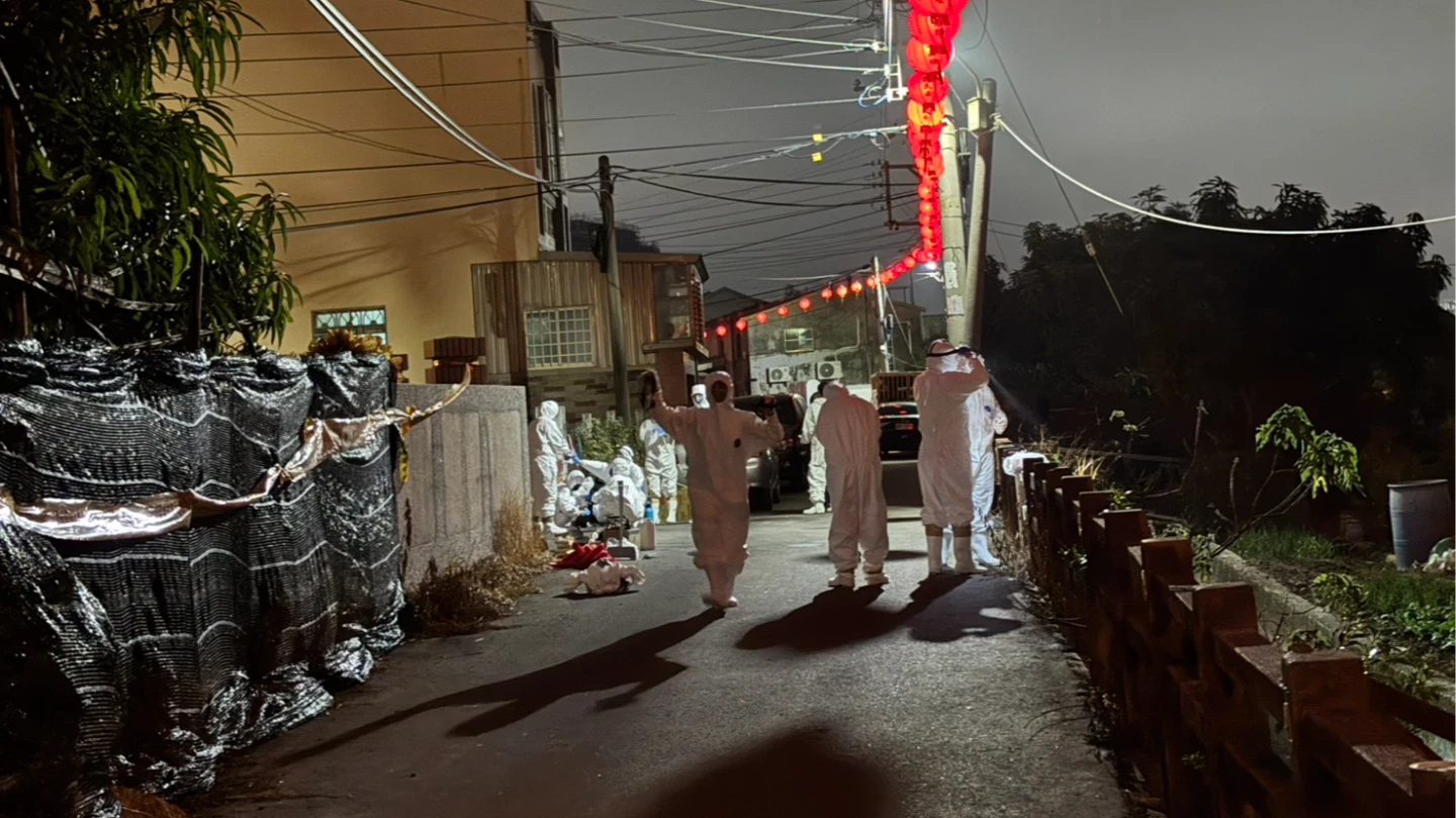 非洲豬瘟疫情重創豬肉產業,中央與地方紛紛祭出補助方案。中市府提供