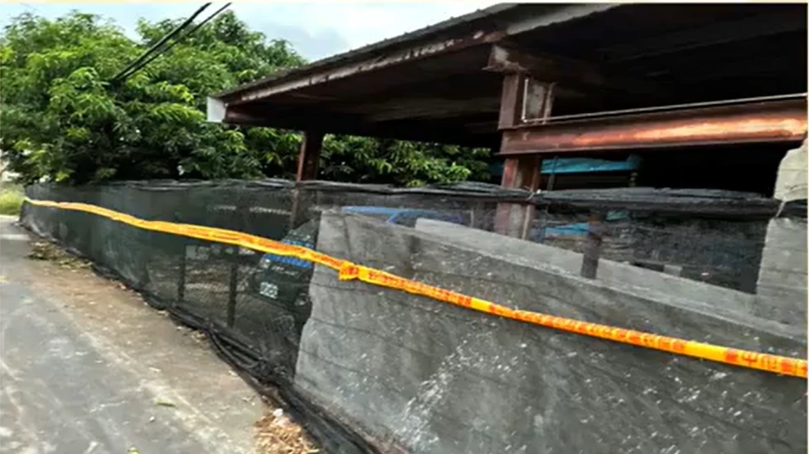 爆發非洲豬瘟的案場已拉起封鎖線並架起鐵絲網,防止動物進入造成病毒擴散。取自FB@農業部