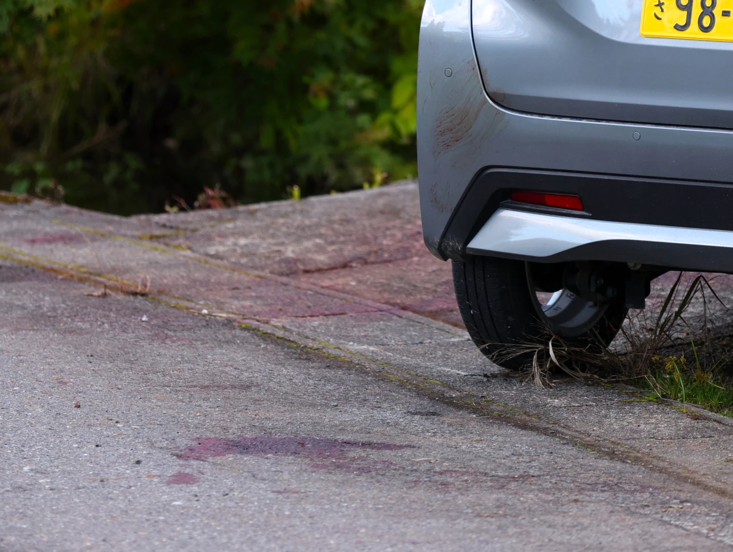 秋田縣東成瀨村10月24日有1頭身長不到1公尺的1歲多亞洲黑熊小熊造成4人受傷,在地上和車身上留下令人怵目驚心的血跡。法新社