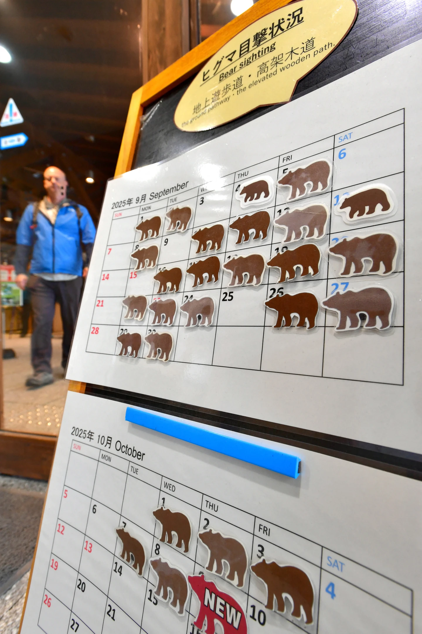 北海道知名景點知床五湖,8月14日有登山客在羅臼岳遭棕熊攻擊致死後,即使入秋,到10月仍幾乎天天都有人看到熊。法新社