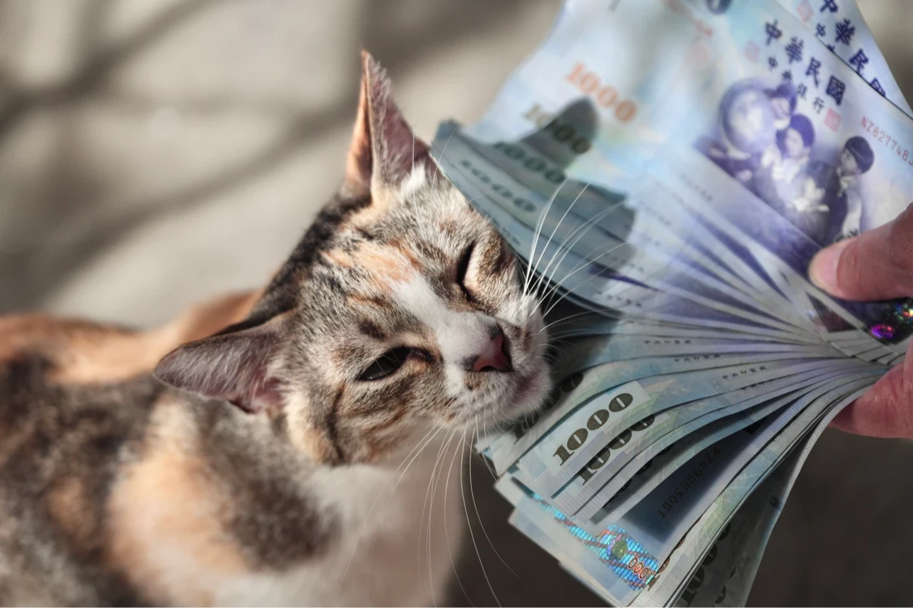 普發現金！8大行庫推限時優惠大戰　彰銀可抽6萬元獎項