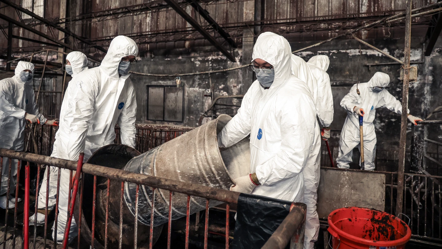 有片|115名國軍徹夜清消豬瘟案場 案主住處採檢10處皆呈陰性!中市府再祭加碼補助