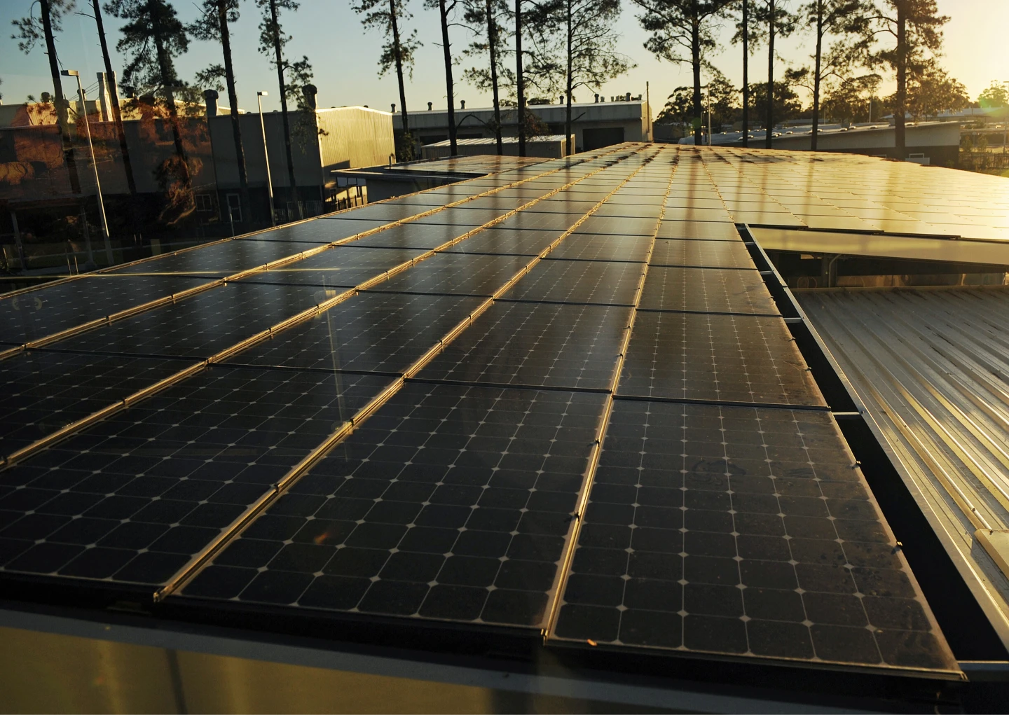 澳洲推出「太陽能共享計畫」　每戶免費爽用3小時電力