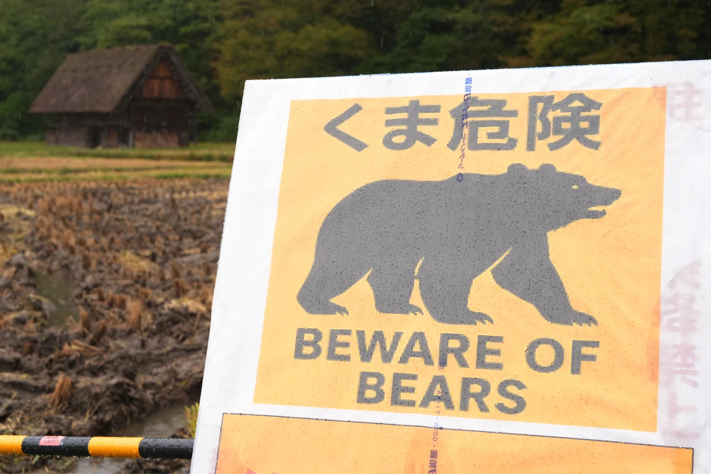 秋田縣79歲婦人疑遭熊襲身亡　日本自衛隊11/5起出動支援