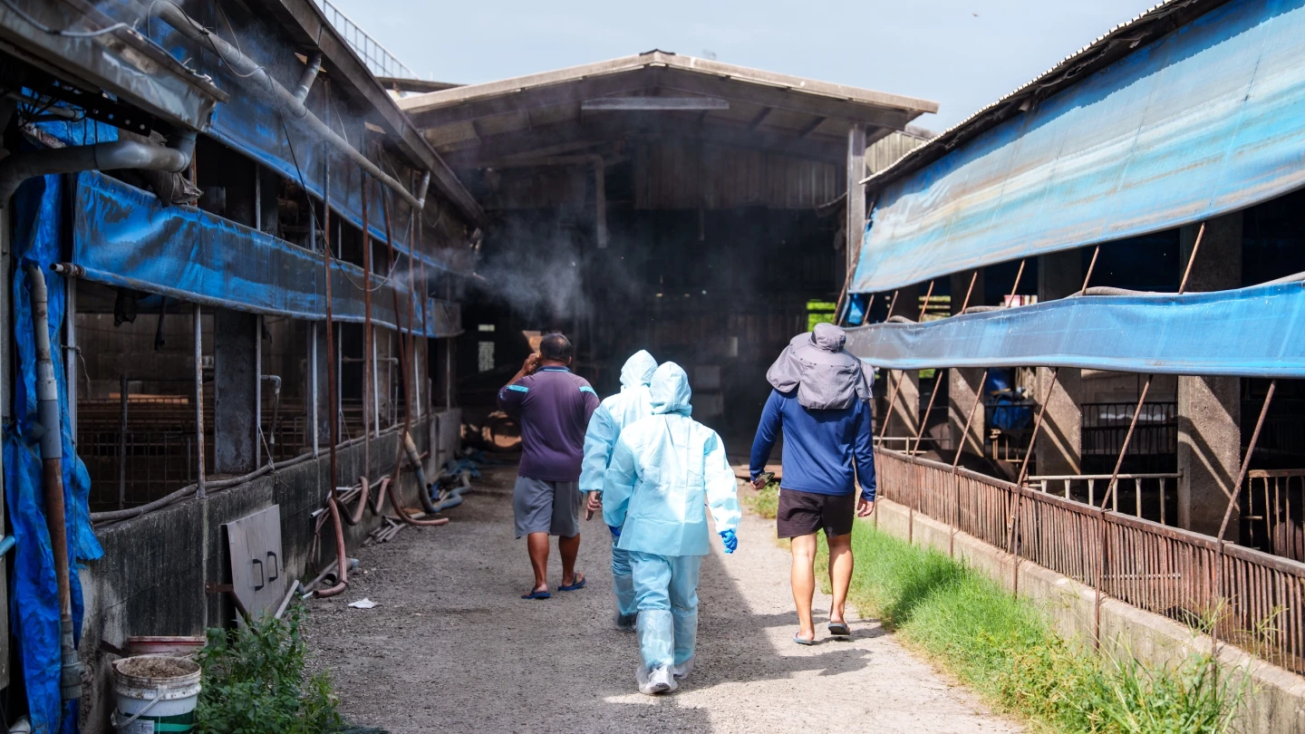 羅智強稱屏東廚餘養豬「僅稽查7%」　屏縣府駁斥：別為搶救台中潑髒水