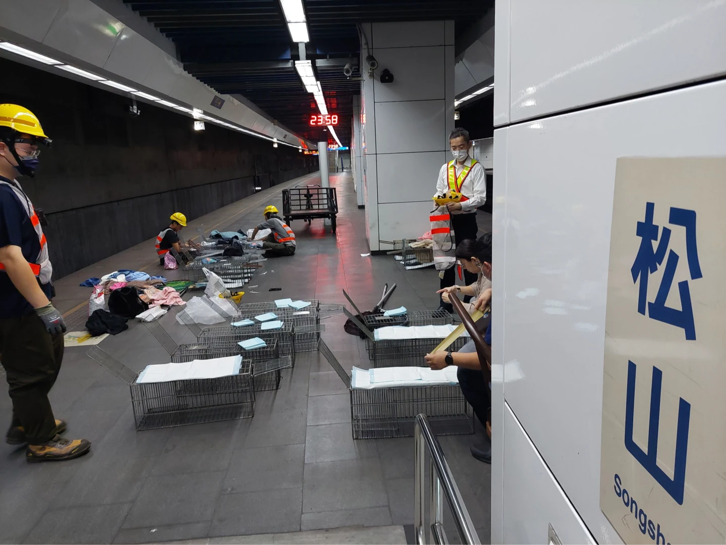 貓落鐵軌失蹤！台鐵員工熬夜找貓還背罵名　動保司：業者沒救援的法定義務