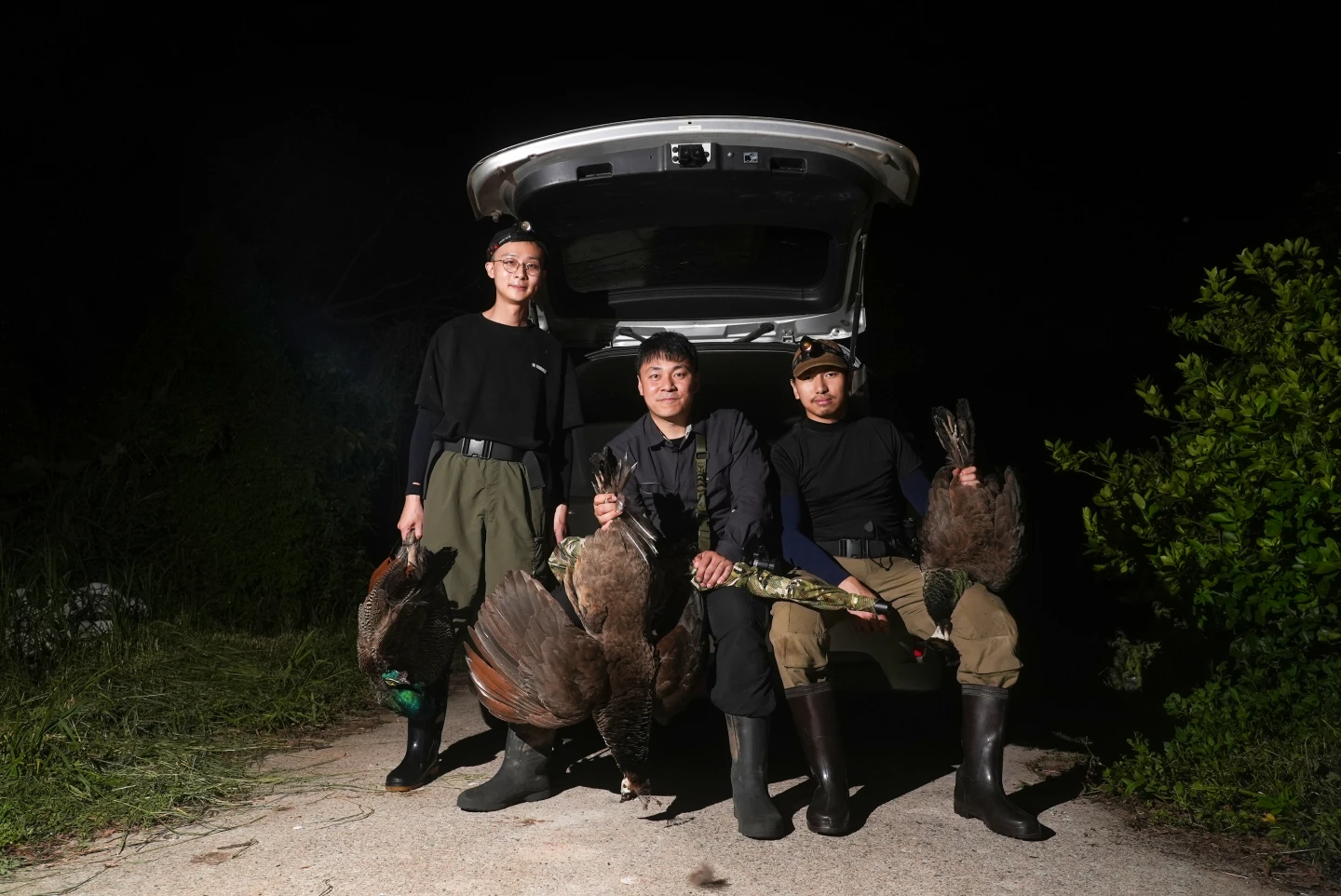 孔雀劫4｜獵人暗夜槍響　直擊廢棄牧場追捕棲息樹上孔雀