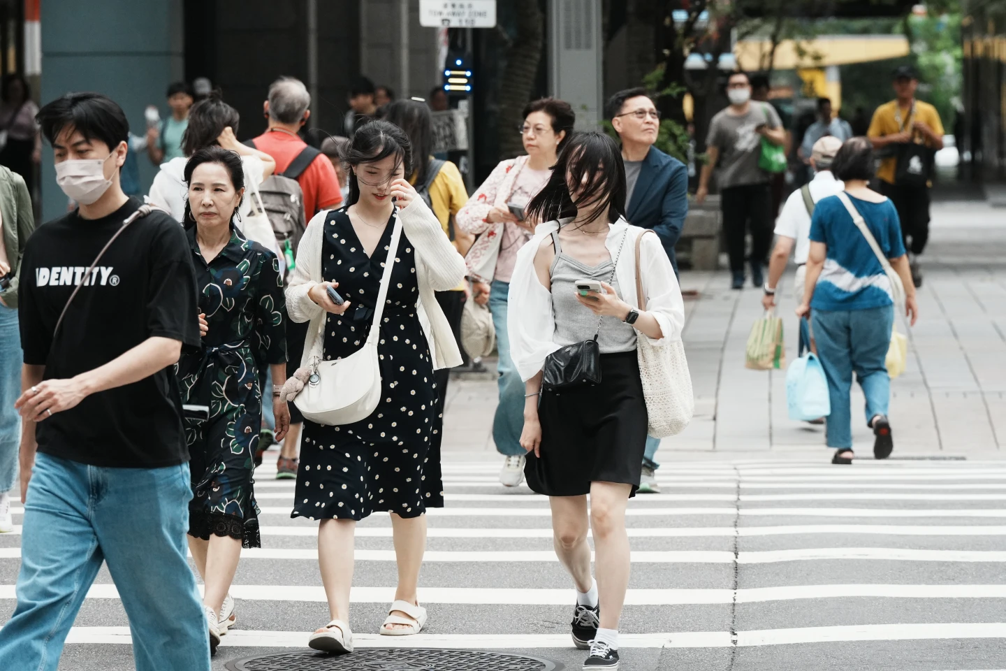 把握今立冬好天氣！鳳凰巔峰達強颱　3特點「非常罕見」