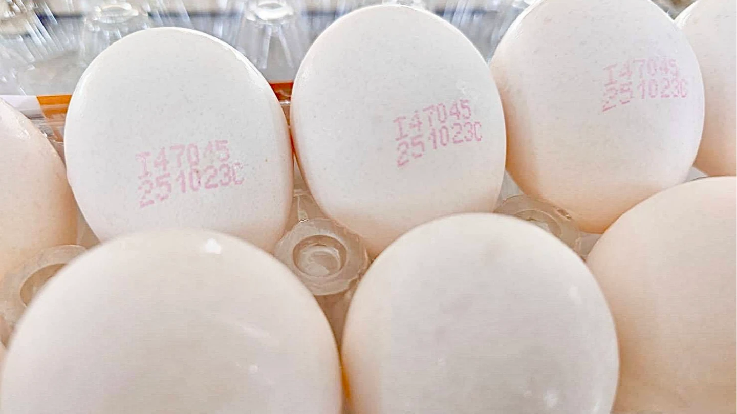 15萬顆芬普尼蛋竄9縣市！毒物專家：長期食用危害腸胃道、肝腎、神經系統