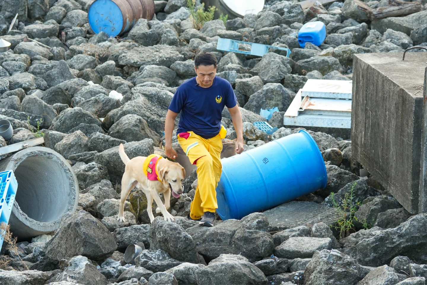 搜救神隊友3｜全台首創！921開啟高雄搜救犬20年征途　從鐵籠與牽繩到國際認證