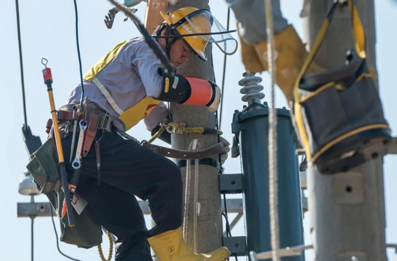 台電2026廣招700名生力軍　月薪逾4萬