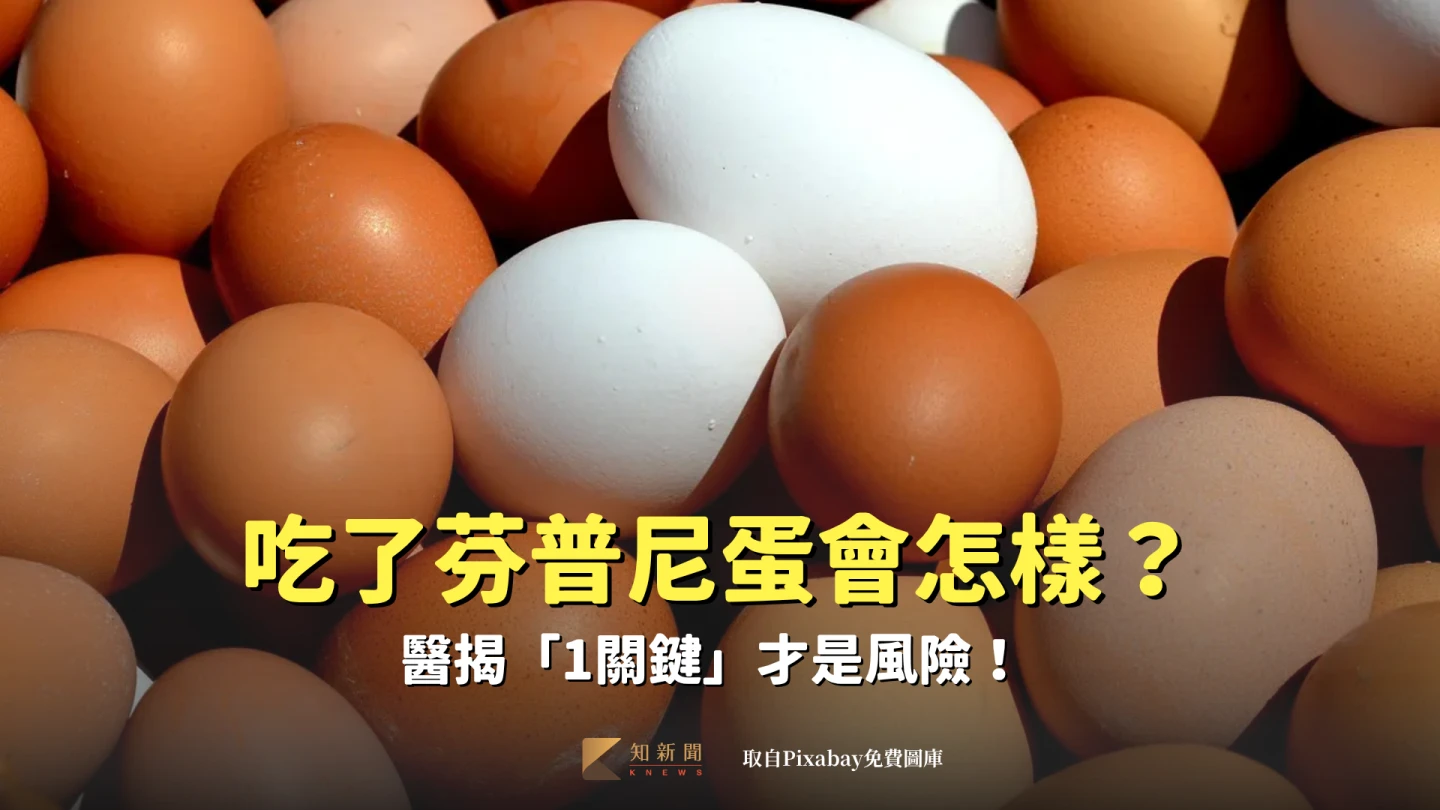 吃了「芬普尼蛋」會怎樣　醫揭「1關鍵」才是風險！避免過量單一來源雞蛋