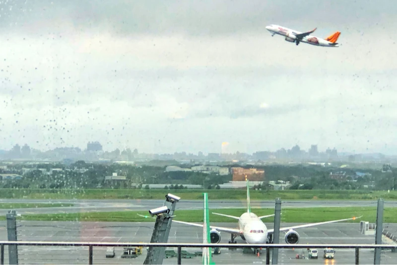 鳳凰撲台！桃機12日714架次全正常運作　航港局：離島10航線103航次停航