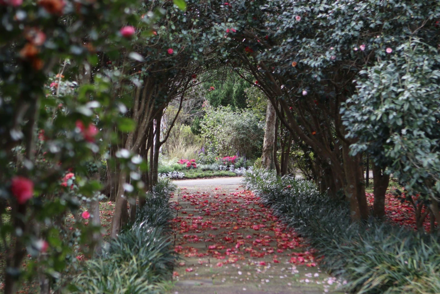 全球唯一！「花IN台北」花季四季綻放　勇奪4國際設計金獎