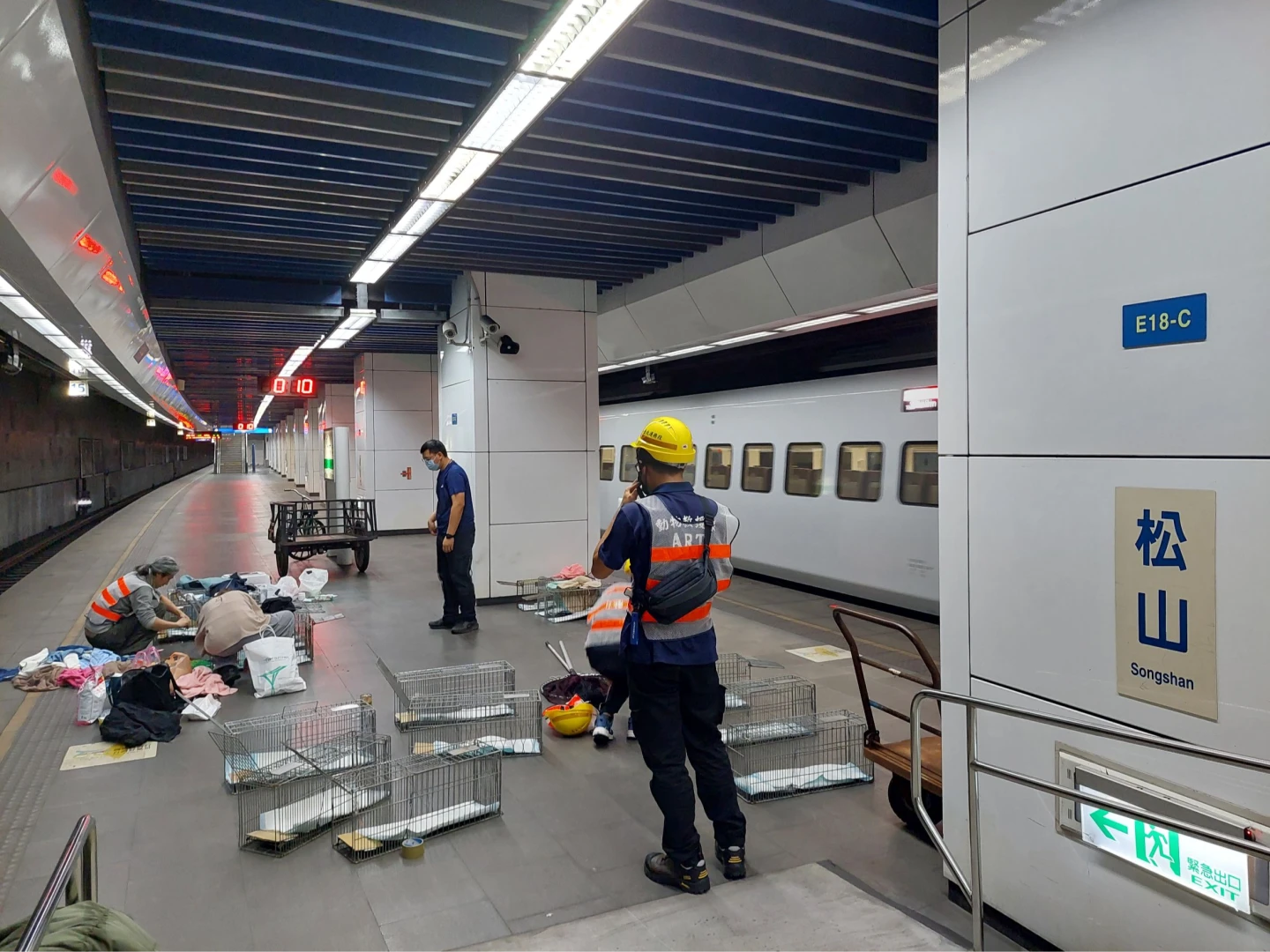 尋貓大作戰！老貓松山車站落軌消失　動保處4度救援出動誘捕籠、熱像儀