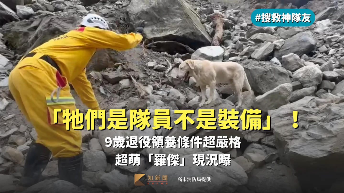搜救神隊友4｜「牠們是隊員不是裝備」！9歲退役領養條件超嚴格　超萌「羅傑」現況曝