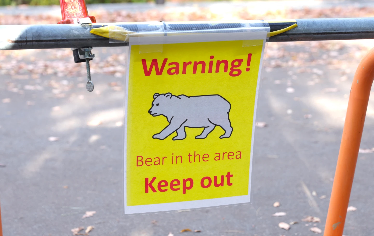 日本熊災｜野生熊闖札幌動物園遭捕殺　自民黨提案財政支援各地獵捕作業