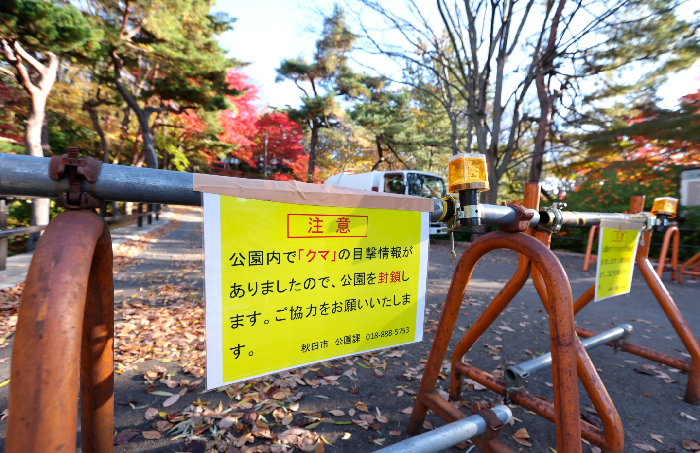 日本熊災｜野生熊闖札幌動物園遭捕殺　自民黨提案財政支援各地獵捕作業