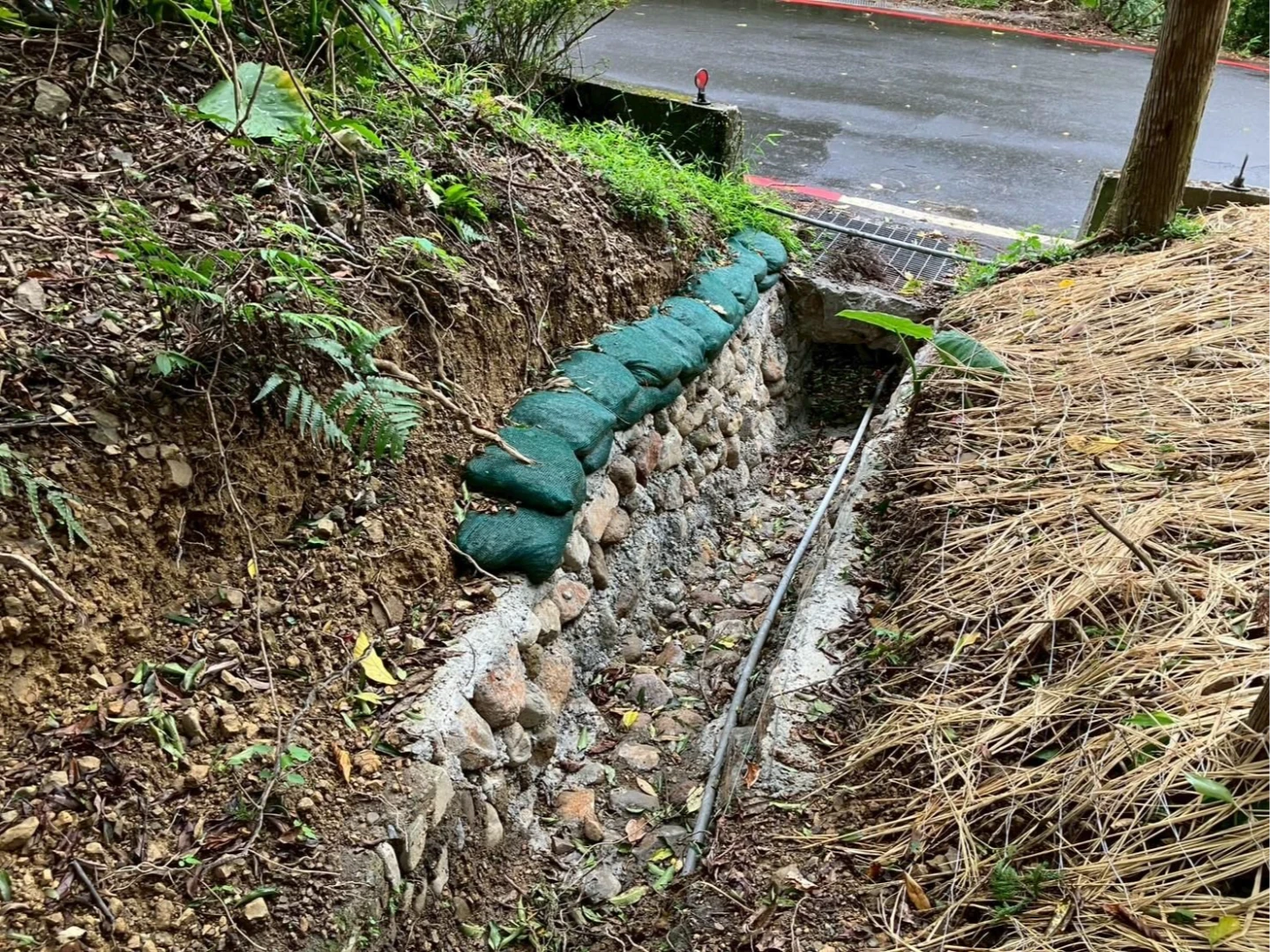 防路殺！新北設10處生態廊道　讓野生小型動物安全返回棲地