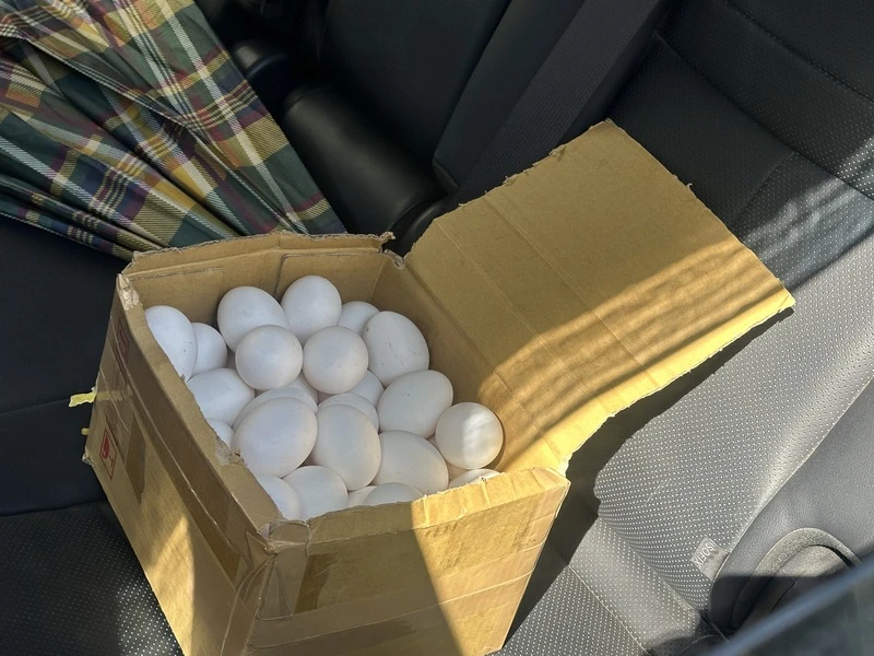 賣管制芬普尼蛋！受害台中蛋行：文雅畜牧場稱檢驗合格　民眾退貨撲空