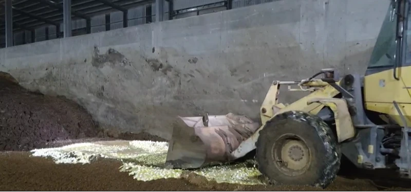 25萬顆毒蛋銷毀！保七總隊全程緊盯　文雅畜牧場雞隻停產蛋