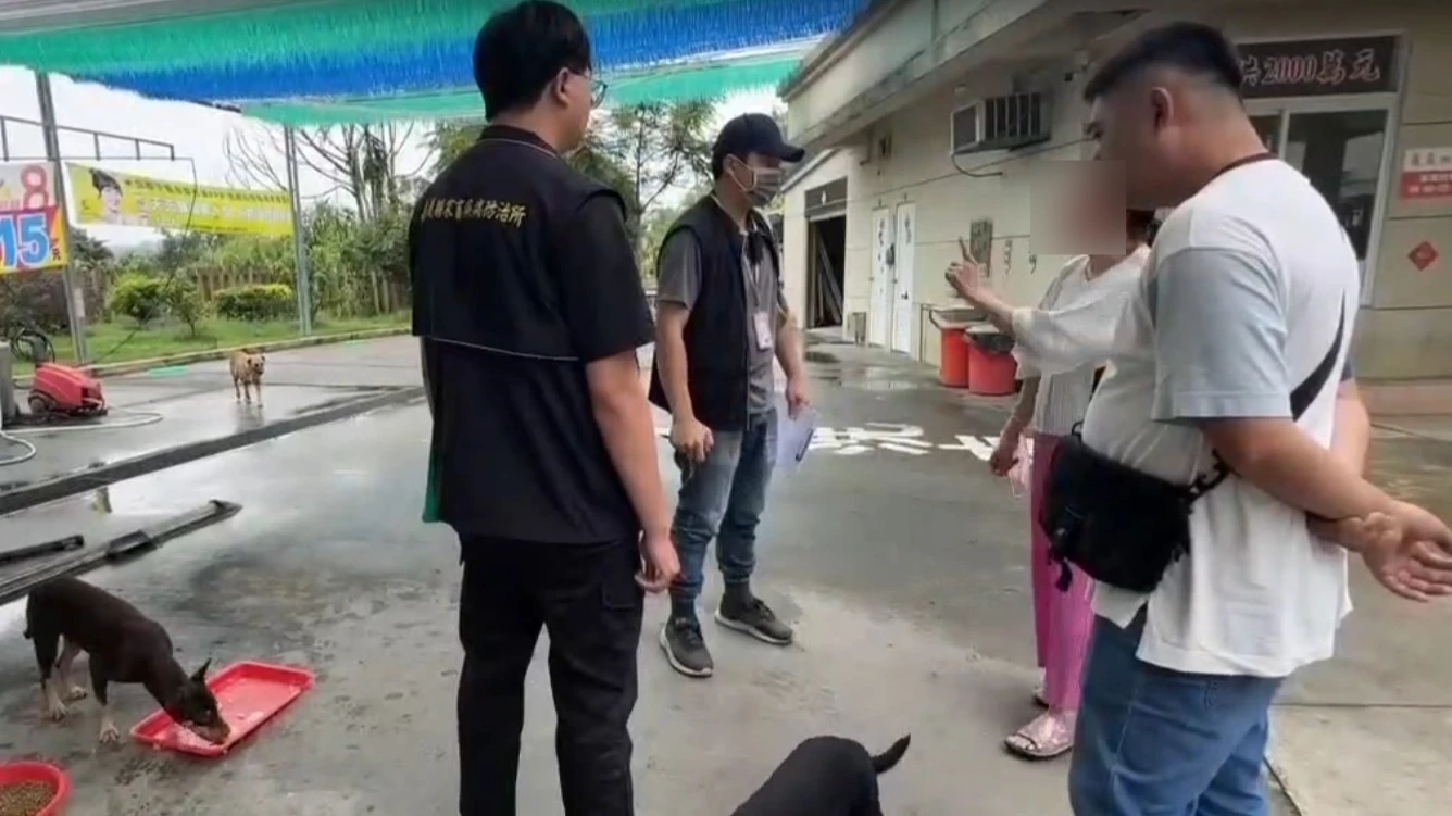 「觀音指示餵養」出事了！浪犬聚集追車咬人　嘉義「礙媽」挨罰8.6萬還被告
