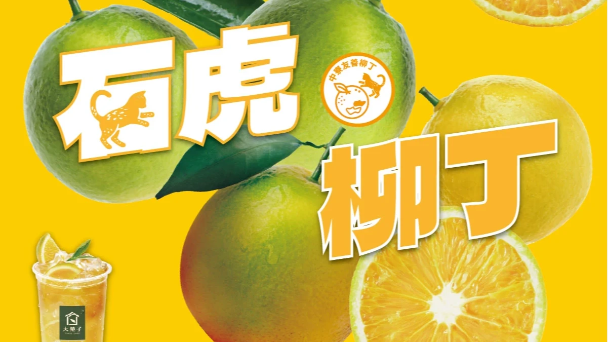 大苑子「石虎柳丁」宣傳翻車！遭控「一顆都沒買」　消保官：廣告不實可申訴