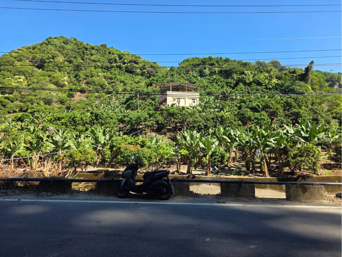 憾！台北夜衝南投武嶺看日出　19歲女大生回程摔邊坡不治