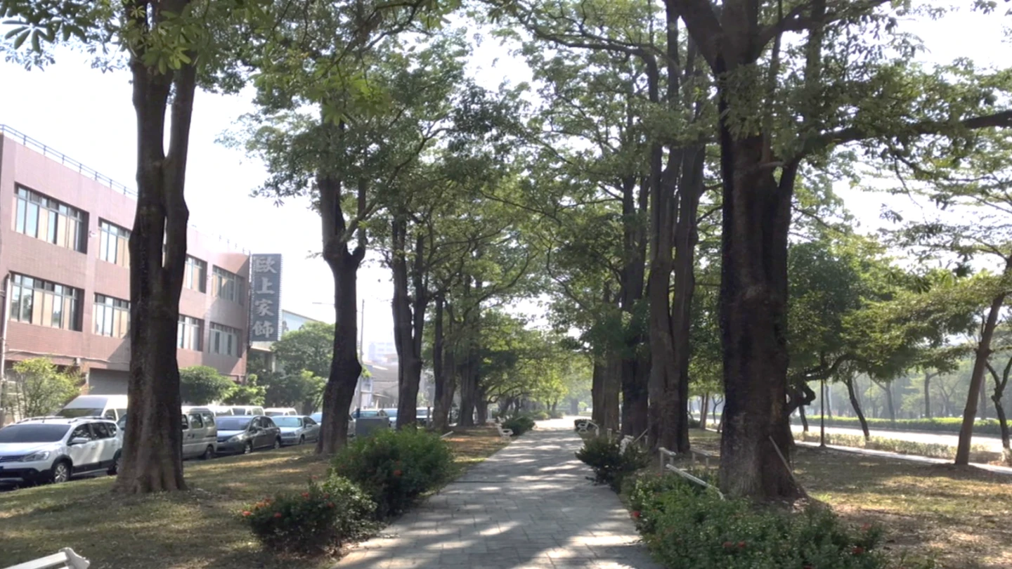 空氣好臭像「燒塑膠」　竟是它的花香！這植物更離奇飄豬舍味