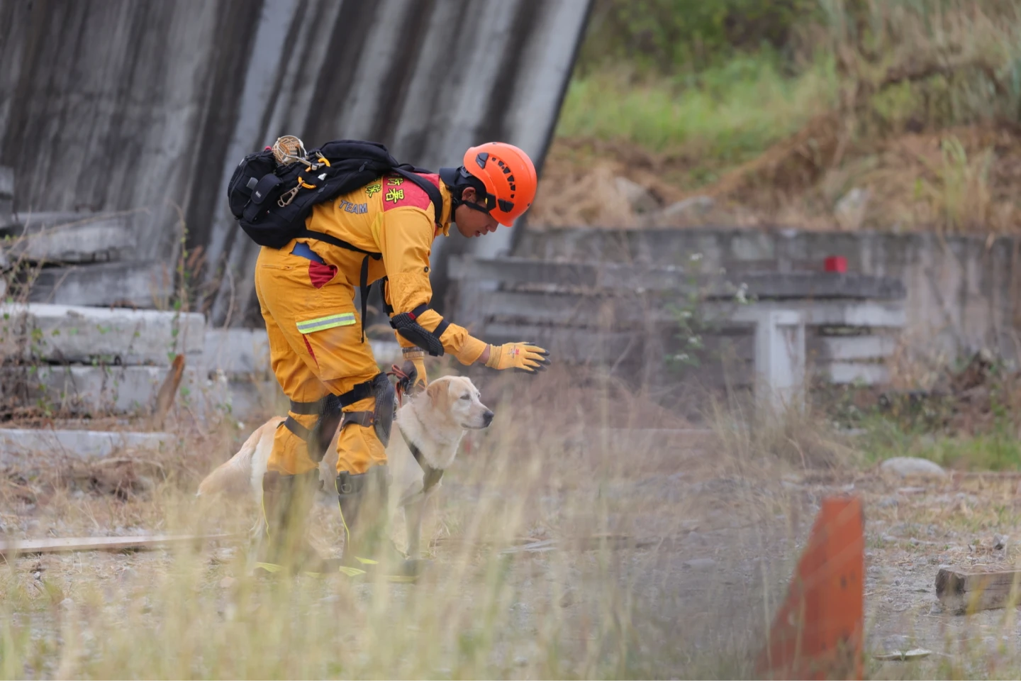 16搜救犬通過模擬災害搜索「36hrs不斷電」　獲頒認證書！